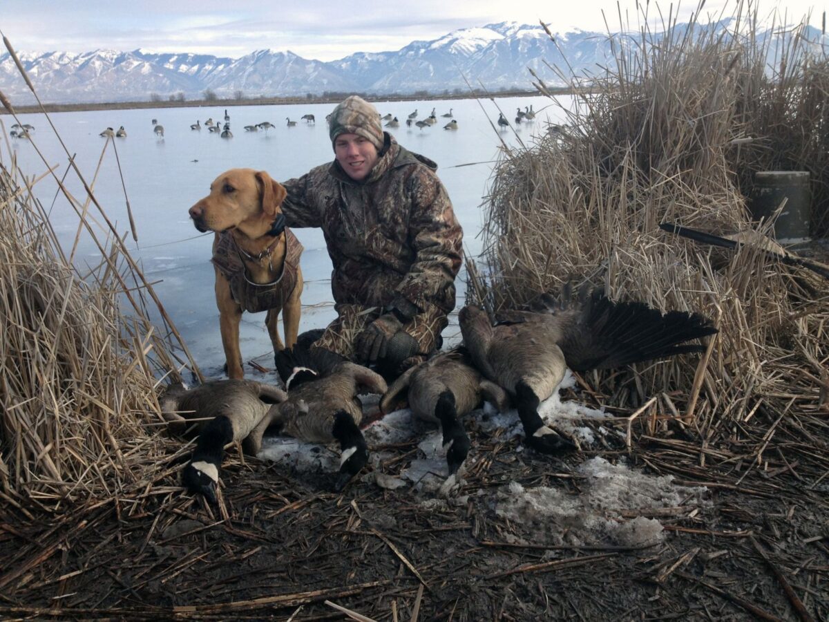 Changes await duck, goose hunters News, Sports, Jobs Daily Herald